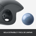Imported Image